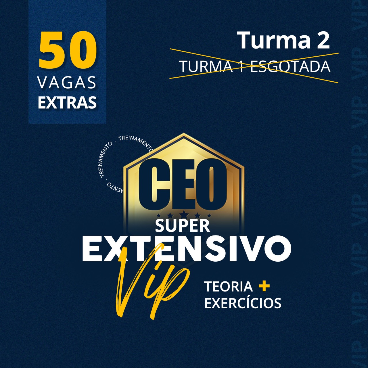 CEO SUPER EXTENSIVO VIP - TEORIA + EXERCÍCIOS TURMA 2 - XXXVI EXAME