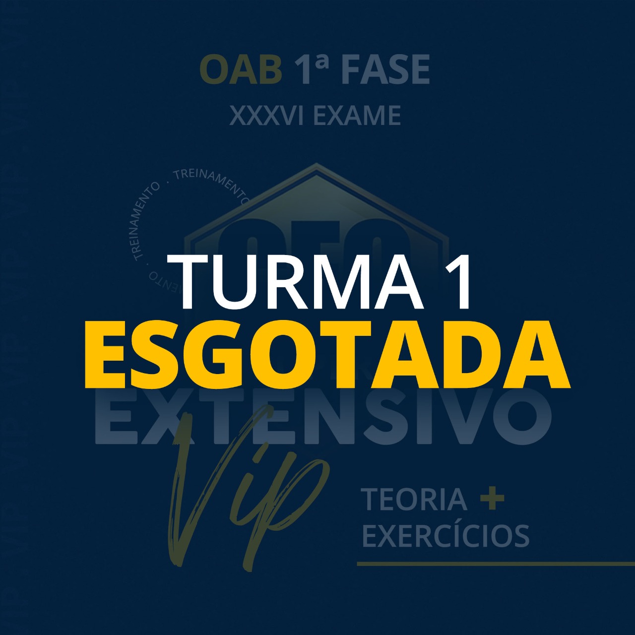 CEO SUPER EXTENSIVO VIP - TEORIA + EXERCÍCIOS - XXXVI EXAME